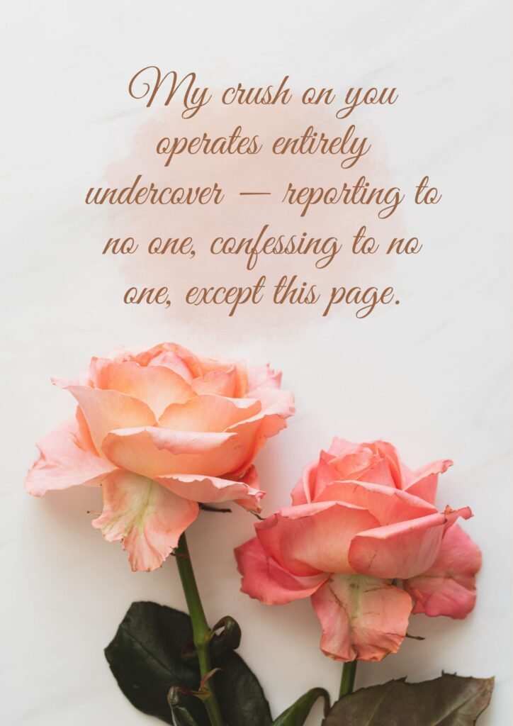Secret Crush Quotes