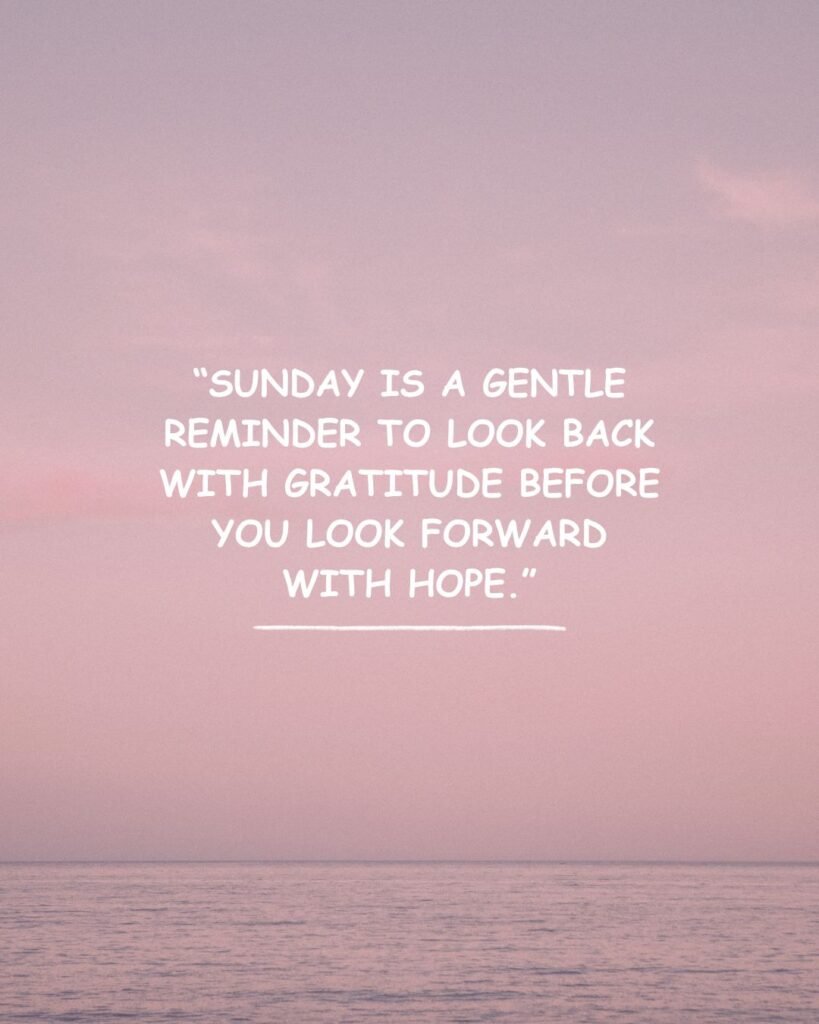 Quotes for Reflection and Gratitude